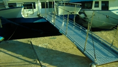 Custom made folding bathing ladder