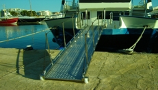 Stainless steel bathing ladders